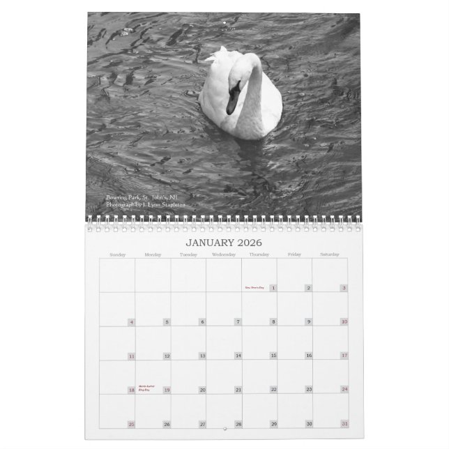 Terranova en imágenes: Calendario de 2013 (Jan 2026)