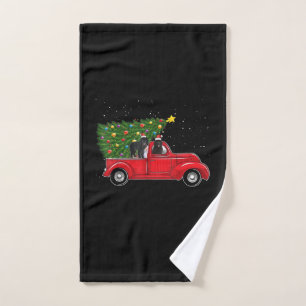 Terranova en un camión de coches rojos regalo de