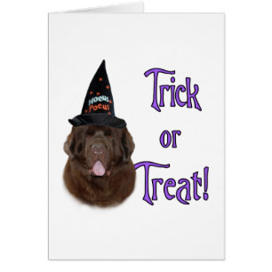 Terranova (marrón) Trick