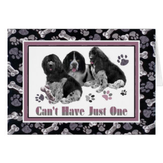 Terranova no puede tener apenas uno carda