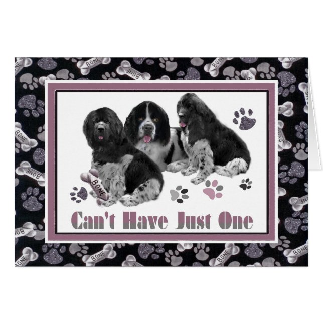 Terranova no puede tener apenas uno carda (Anverso (Horizontal))