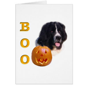 Terranova (tierra) Boo