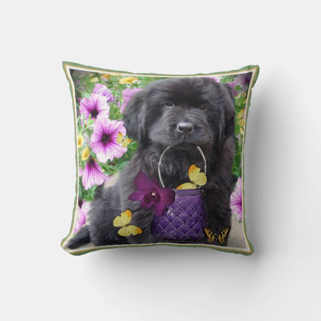 Terranova una almohada del día soleado (Anverso)