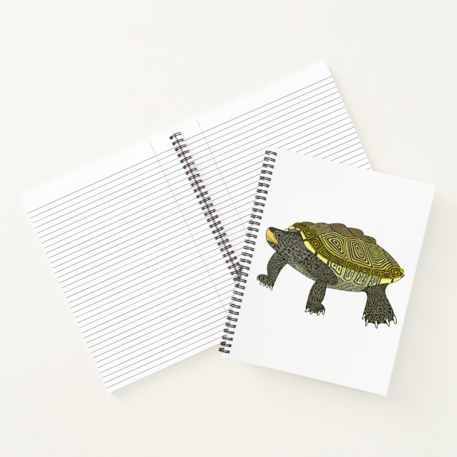 Terrapin (blanco) - Cuaderno (Interior)