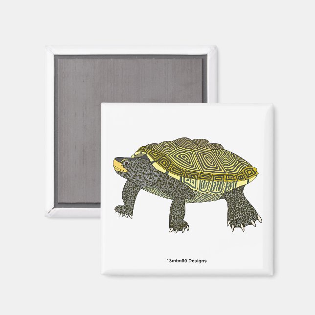 Terrapin (blanco) - Imán cuadrado (Anverso/Reverso)