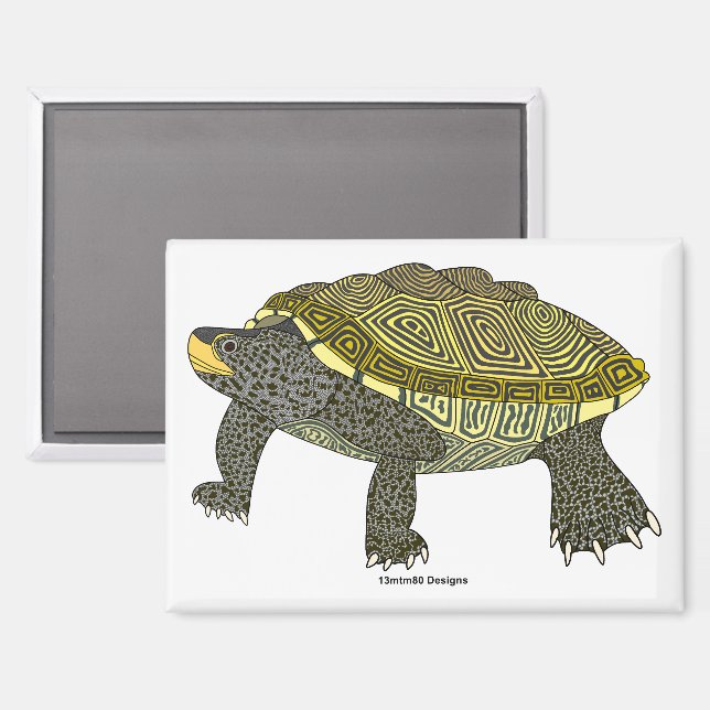 Terrapin (blanco) - Imán rectangular (Anverso/Reverso)