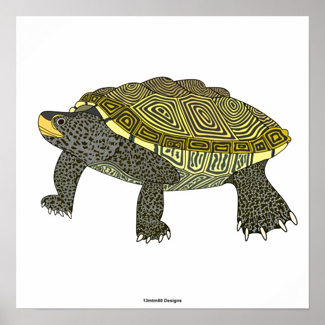 Terrapin (blanco) - Impresión de Póster (Frente)