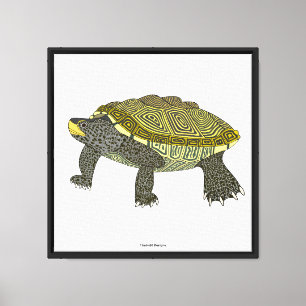 Terrapin (blanco) - Impresión en lienzo
