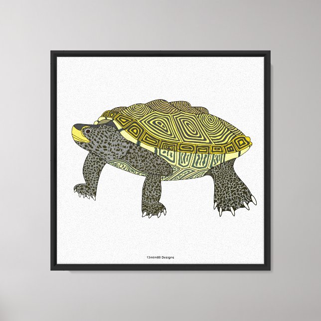 Terrapin (blanco) - Impresión en lienzo (Anverso)