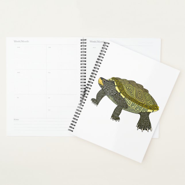 Terrapin (blanco) - Planificador (Demostración)