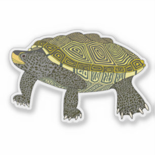 Terrapin - Calcomanía de vinilo
