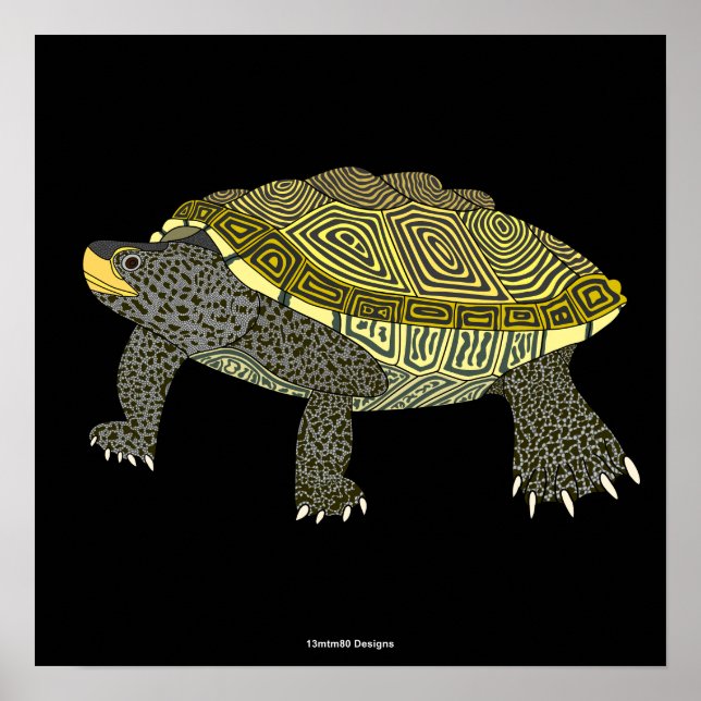 Terrapin (negro) - Impresión de Póster (Frente)
