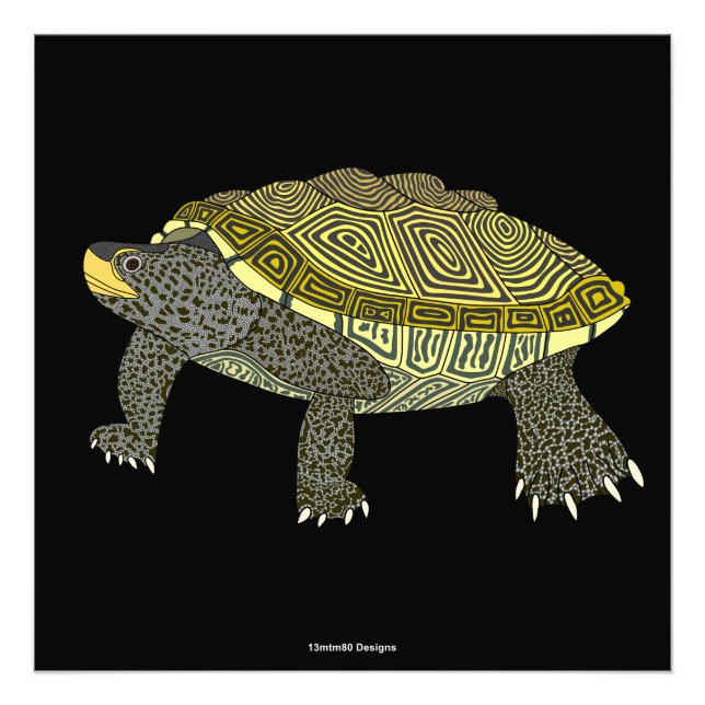 Terrapin (negro) - Impresión fotográfica (Frente)