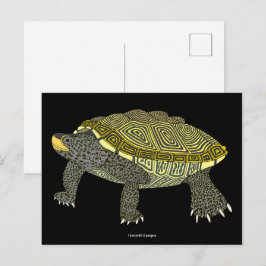 Terrapin (negro) - Tarjeta postal
