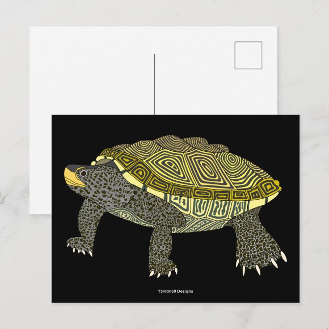 Terrapin (negro) - Tarjeta postal (Anverso / Reverso)