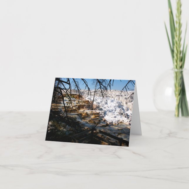 Terraza de piedra caliza Mammoterapia Primavera ca (Anverso)