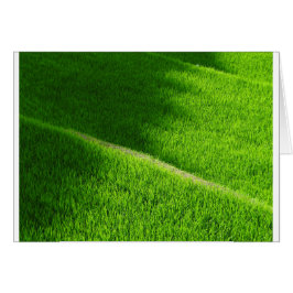 Terrazas de arroz Campos de arroz de Yamada Japón