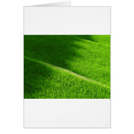 Terrazas de arroz Campos de arroz de Yamada Japón