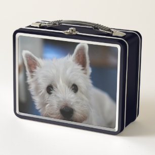 Terrier blanco y occidental extremadamente lindo