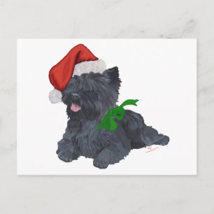 Terrier Cairn de Navidad