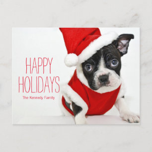 Terrier de Boston del navidad