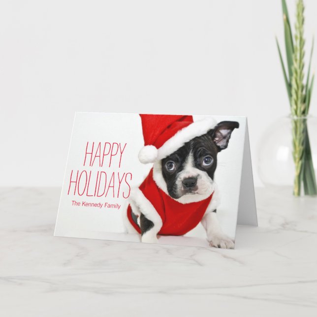 Terrier de Boston del navidad (Anverso)
