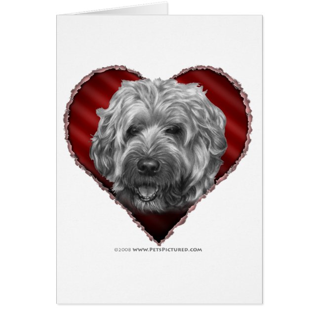 Terrier de trigo Suave-Revestido con el corazón (Frente)