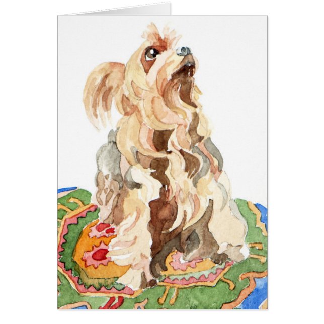 Terrier de Yorkshire 2012 (Frente)