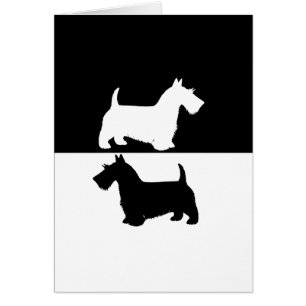 terrier escocés