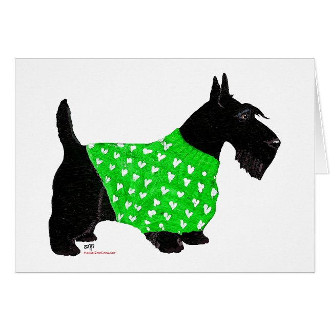 Terrier Escocés con un Suéter (Anverso (Horizontal))