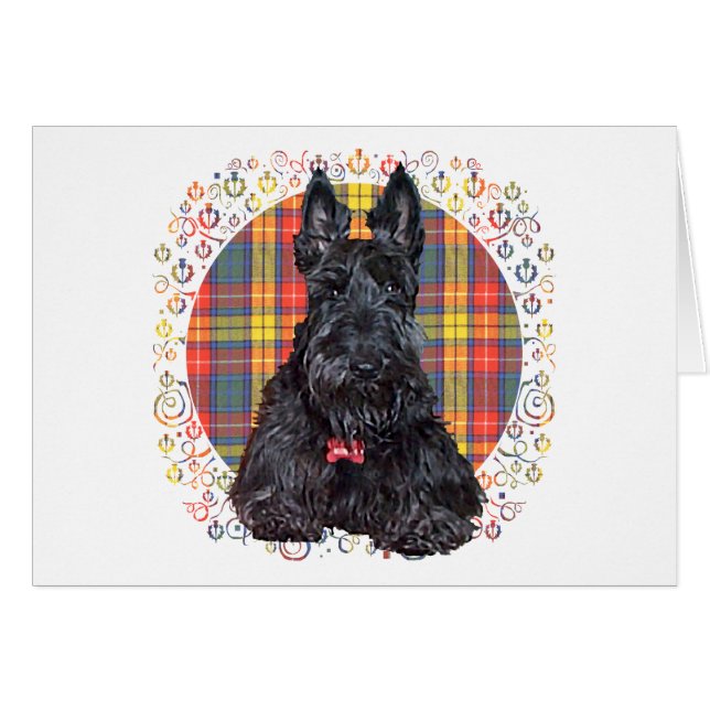 Terrier escocés sobre Plaid Buchanan (Anverso (Horizontal))