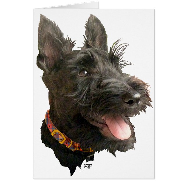 Terrier escocés sonriente (Frente)