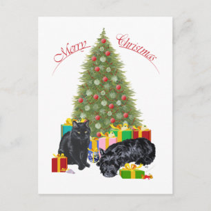 Terrier Escocés y gato negro de Navidad