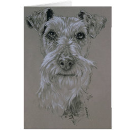 Terrier irlandés