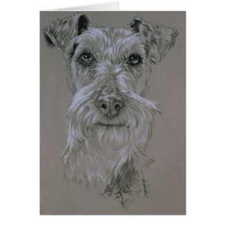 Terrier irlandés