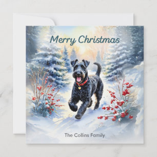 Terrier Kerry Blue en la nieve Navidad feliz invie