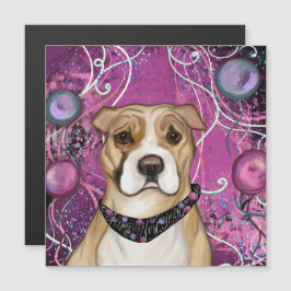 TERRIER STAFFORDSHIRE AMERICANO               