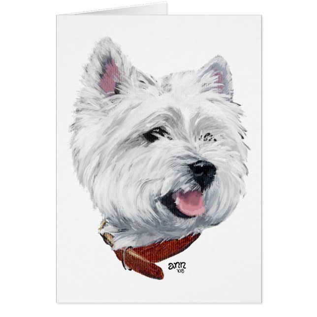 Terrier West Highland Blanco (Frente)
