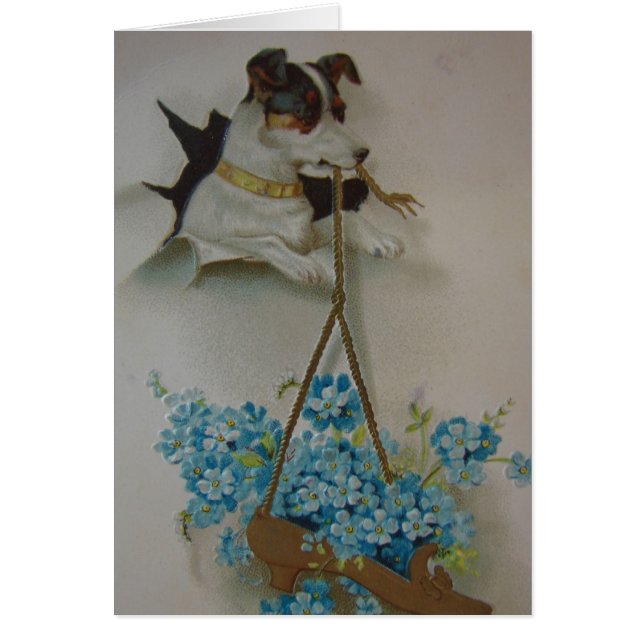 Terrier y zapato (Frente)