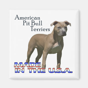 Terrieres de pitbull americanos: Imán cuadrado