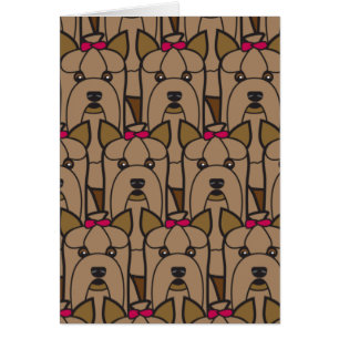 Terrieres de Yorkshire