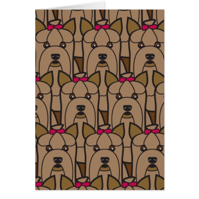 Terrieres de Yorkshire (Frente)