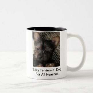 Terrieres sedosos un perro para toda la taza del
