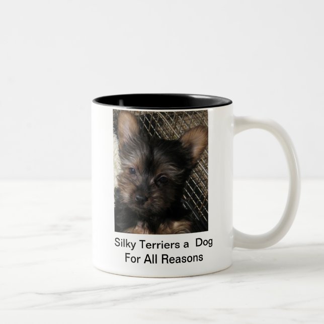 Terrieres sedosos un perro para toda la taza del (Derecha)