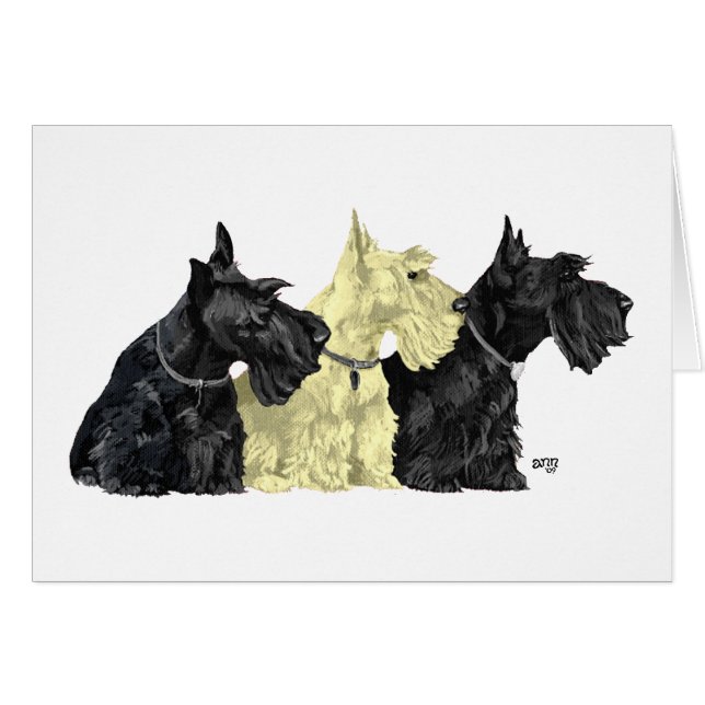 Terriers Escoceses Negro y Trigo (Anverso (Horizontal))