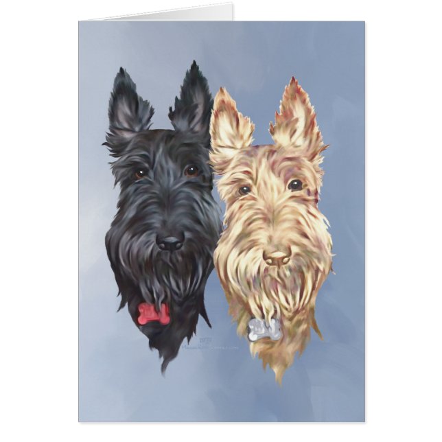 Terriers Escoceses Negros y Trigo (Frente)