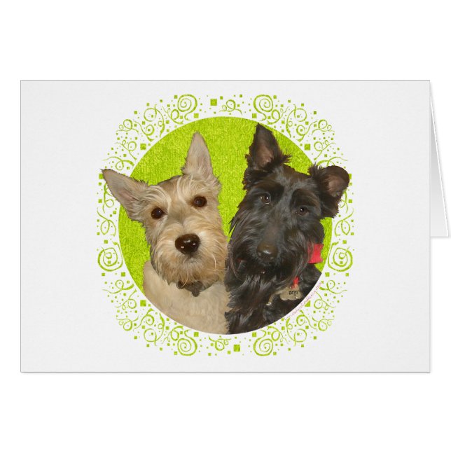 Terriers Escoceses Trigos y Negros (Anverso (Horizontal))