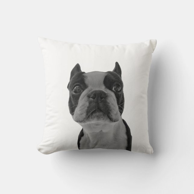 terrior de Boston de la almohada (Anverso)