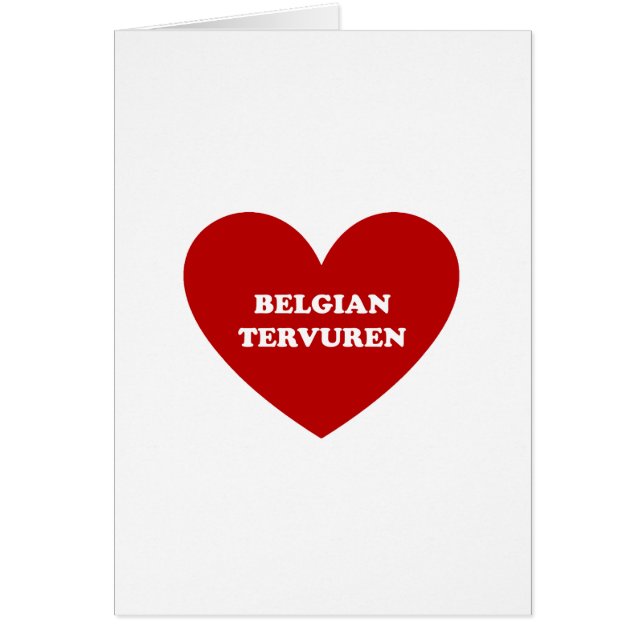 Tervuren belga (Frente)