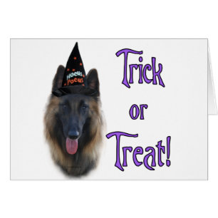 Tervuren Trick belga